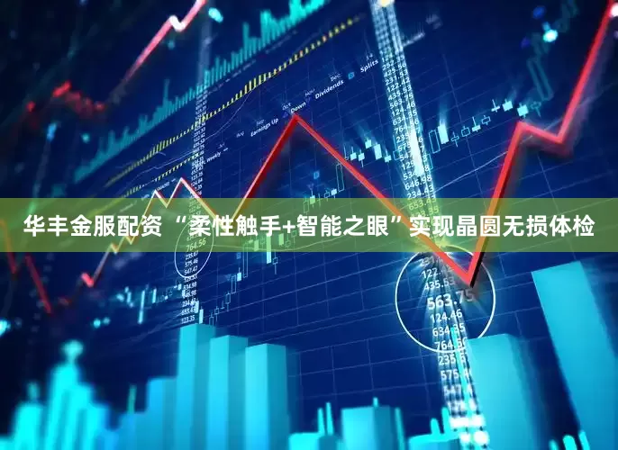 华丰金服配资 “柔性触手+智能之眼”实现晶圆无损体检