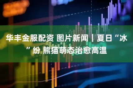 华丰金服配资 图片新闻｜夏日“冰”纷 熊猫萌态治愈高温