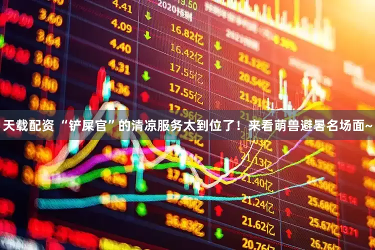 天载配资 “铲屎官”的清凉服务太到位了！来看萌兽避暑名场面~