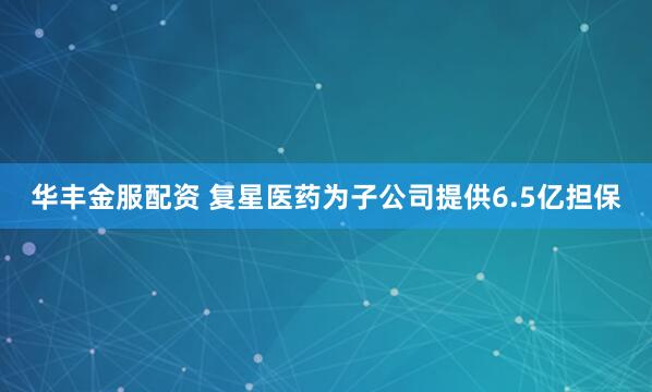 华丰金服配资 复星医药为子公司提供6.5亿担保